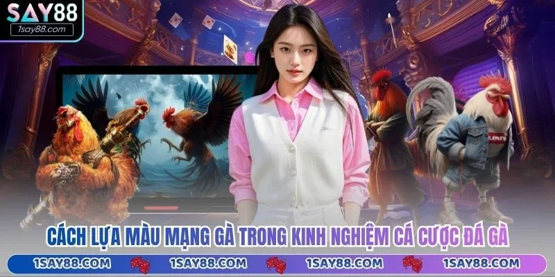 Cách lựa màu mạng gà trong kinh nghiệm cá cược đá gà