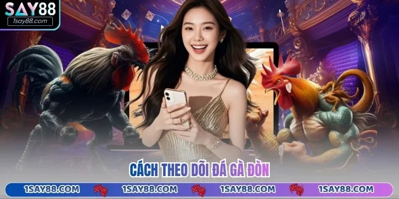 Cách theo dõi đá gà đòn