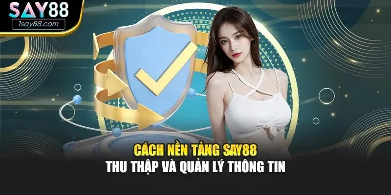 Thông tin được thu thập theo chính sách bảo mật Say88