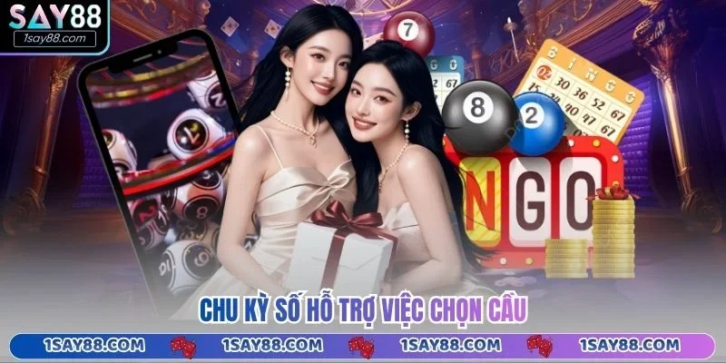Chu kỳ số hỗ trợ việc chọn cầu