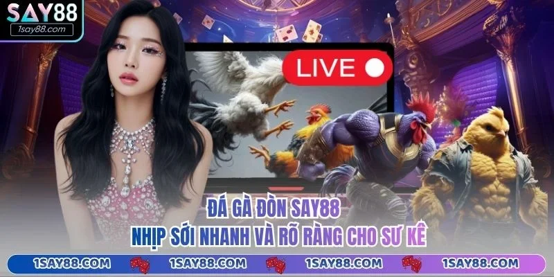 Đá Gà Đòn