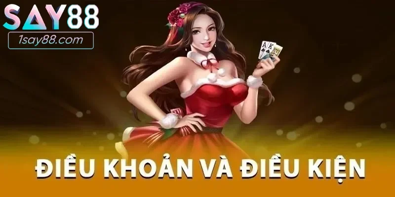 Tổng quan về điều khoản điều kiện tại Say88