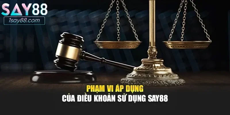Phạm vi áp dụng điều khoản