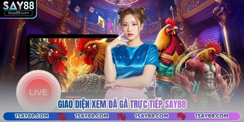Giao diện xem đá gà trực tiếp Say88