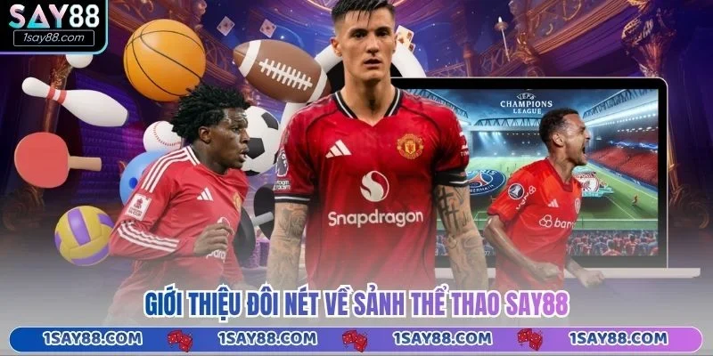 Giới thiệu đôi nét về sảnh thể thao Say88