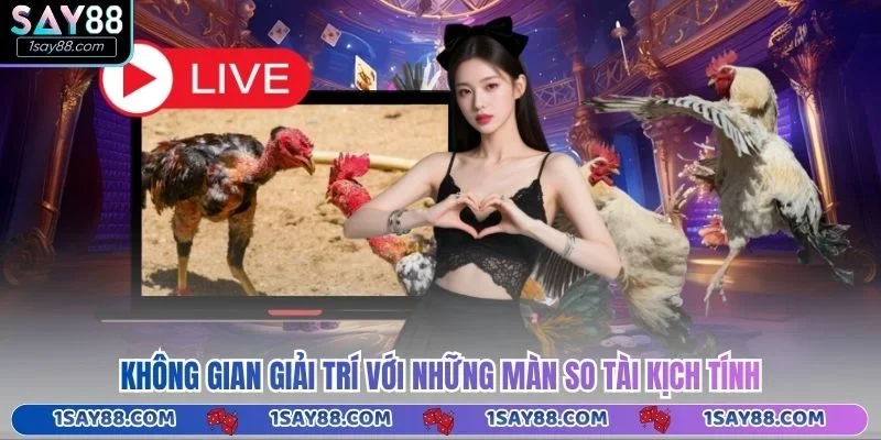 Không gian giải trí với những màn so tài kịch tính