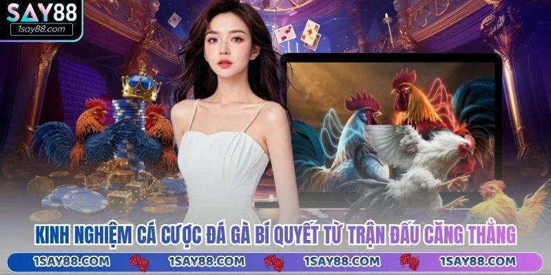 Kinh Nghiệm Cá Cược Đá Gà