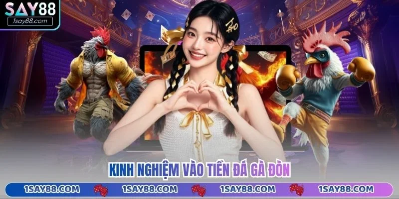 Kinh nghiệm vào tiền đá gà đòn