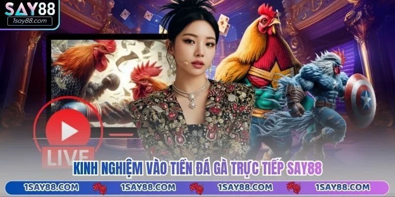Kinh nghiệm vào tiền đá gà trực tiếp Say88