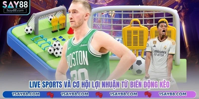 Live sports và cơ hội lợi nhuận từ biến động kèo