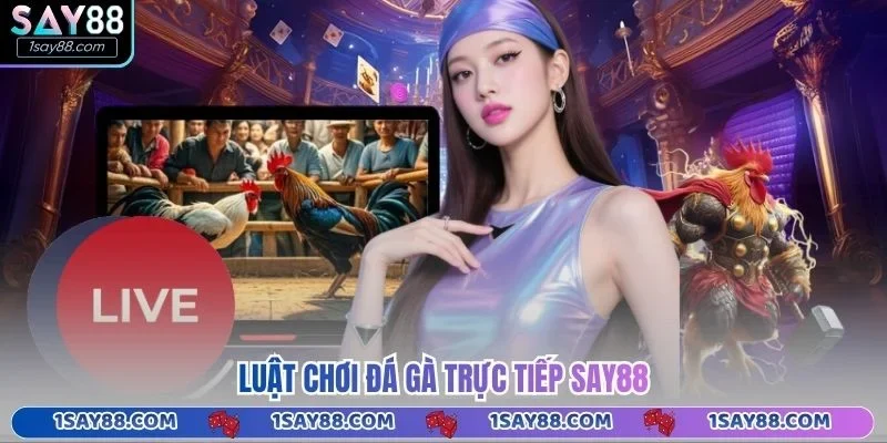 Luật chơi đá gà trực tiếp Say88