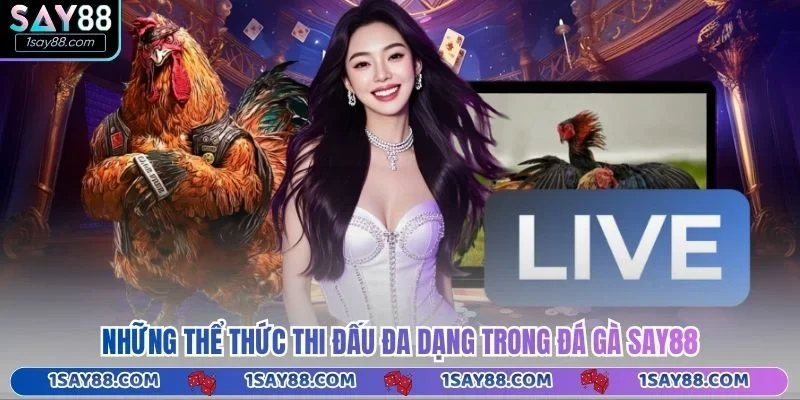 Những thể thức thi đấu đa dạng trong đá gà Say88