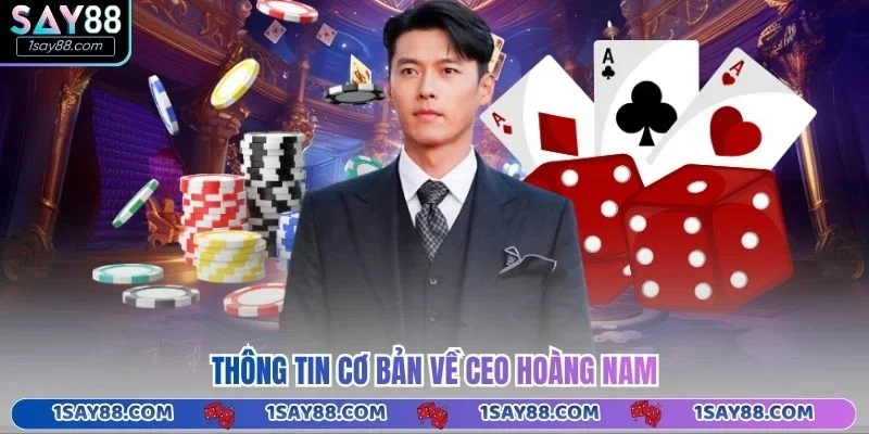 Thông tin cơ bản về CEO Hoàng Nam
