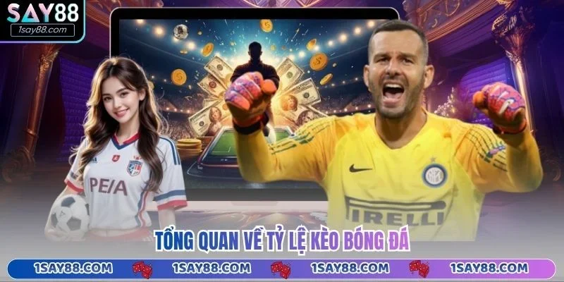 Tổng quan về tỷ lệ kèo bóng đá